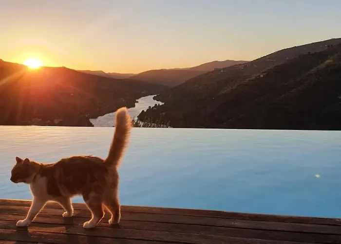 Imaginario D'el Rei - 3* מסאו פריו