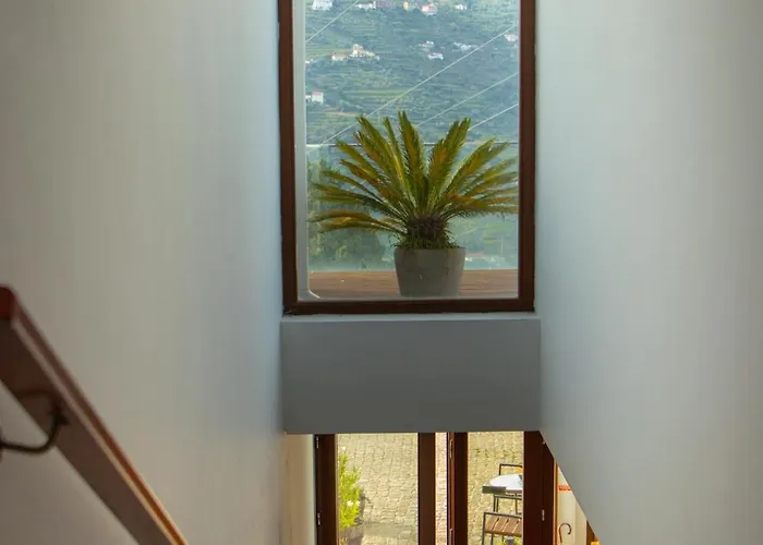 Imaginario D'el Rei - מסאו פריו